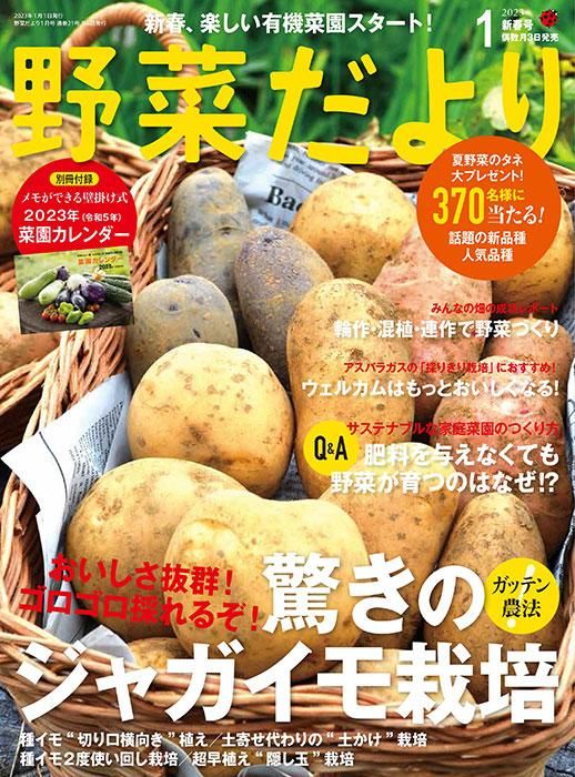 【書籍】野菜だより2023年1月新春号(112301)