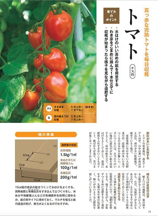 【書籍】夏野菜づくり 超基本とコツのコツ 2023年版(122304)
