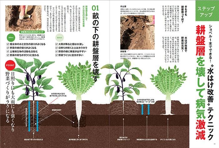 【書籍】夏野菜づくり 超基本とコツのコツ 2023年版(122304)