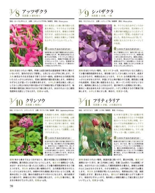 【書籍】365日の花手帖(M1653)