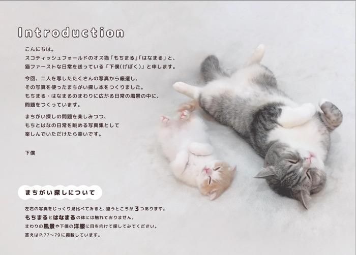 【書籍】もちまる日記 まちがい探し(M1681)