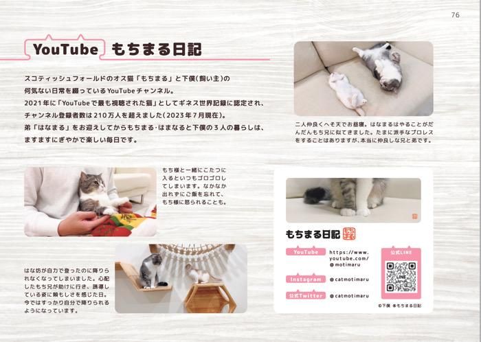【書籍】もちまる日記 まちがい探し(M1681)
