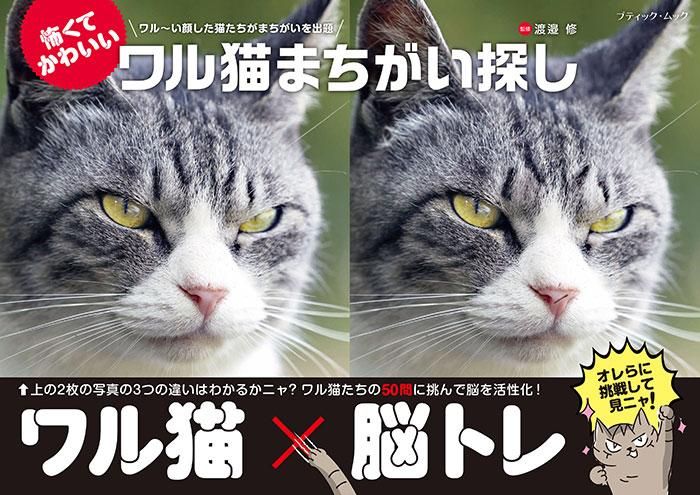 【書籍】ワル猫まちがい探し(M1718)
