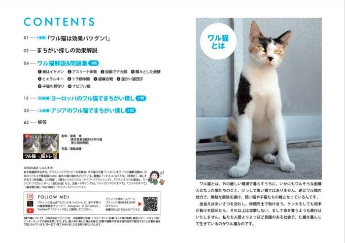 【書籍】ワル猫まちがい探し(M1718)