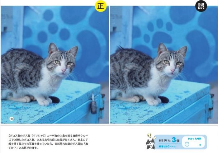 【書籍】ワル猫まちがい探し(M1718)
