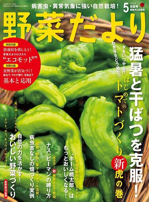 【書籍】野菜だより2024年5月初夏号(112405)