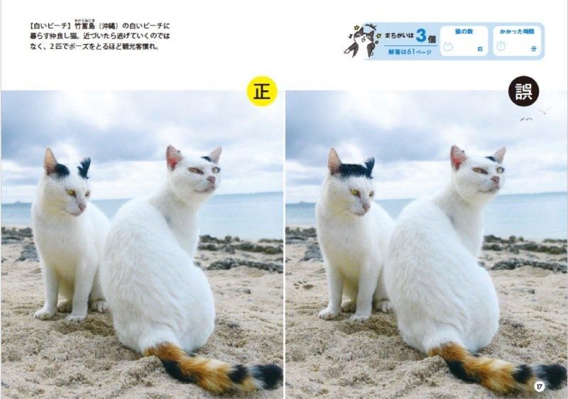 【書籍】群れ猫まちがい探し(M1751)