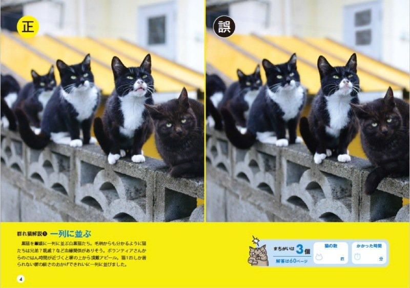 【書籍】群れ猫まちがい探し(M1751)