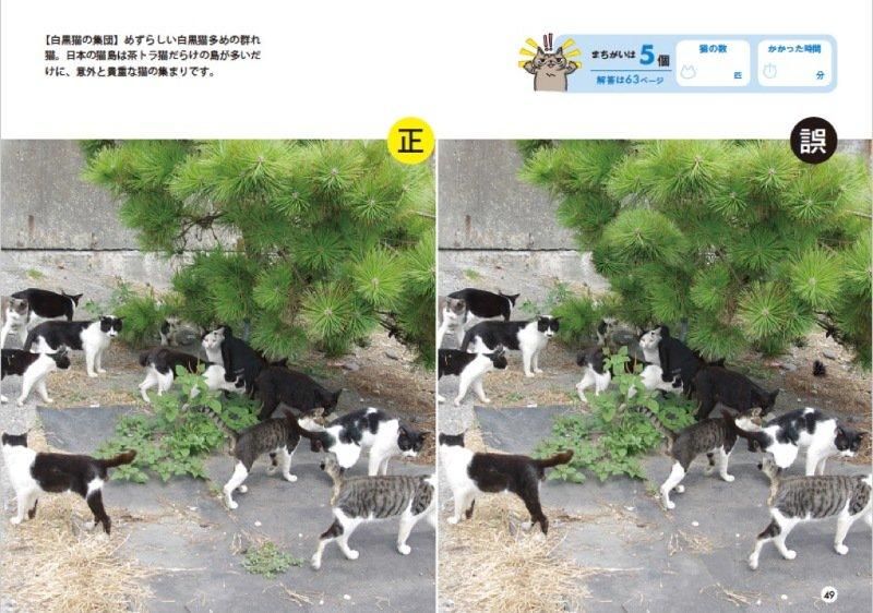 【書籍】群れ猫まちがい探し(M1751)