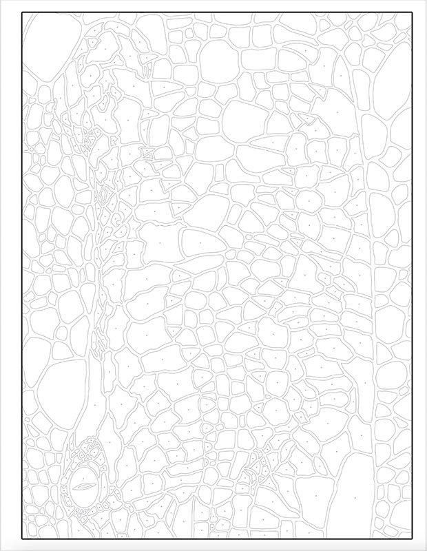 【書籍】新しいパズル塗り絵 ~野生動物編~(M1755)