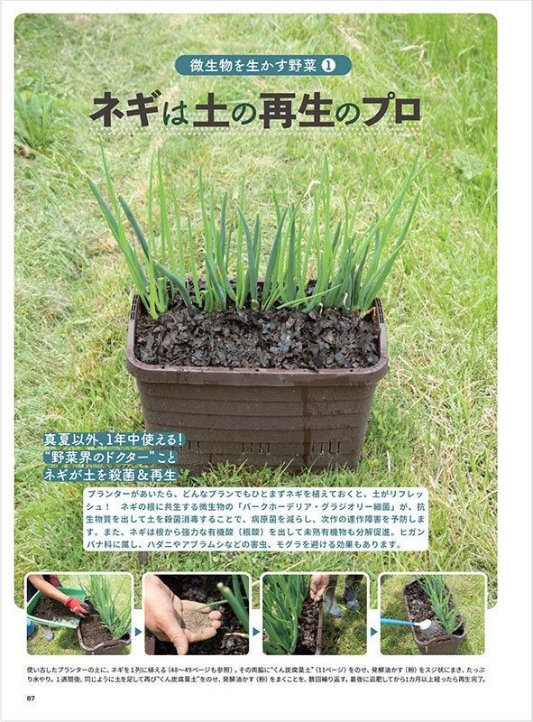 【書籍】プランターで育てる ぐるぐる自然菜園(M1786)