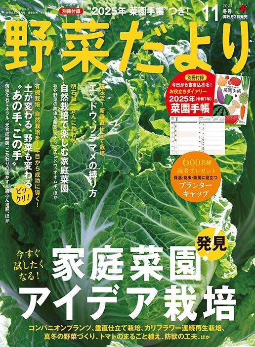 【書籍】野菜だより2024年11月冬号(112411)