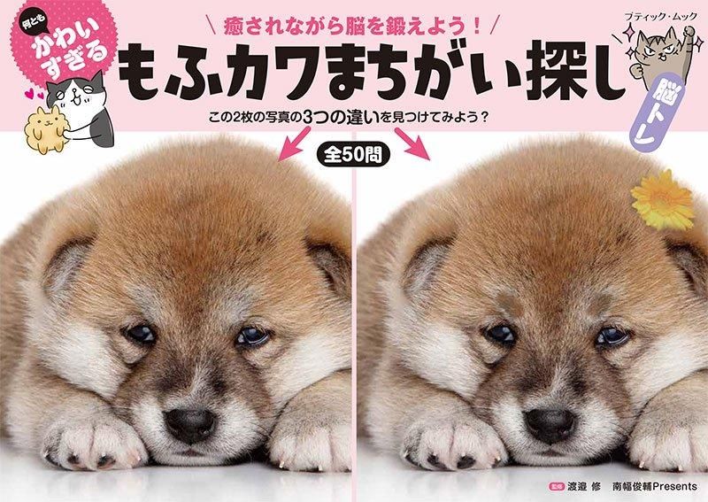 【書籍】何ともかわいすぎる もふカワまちがい探し(M1807)