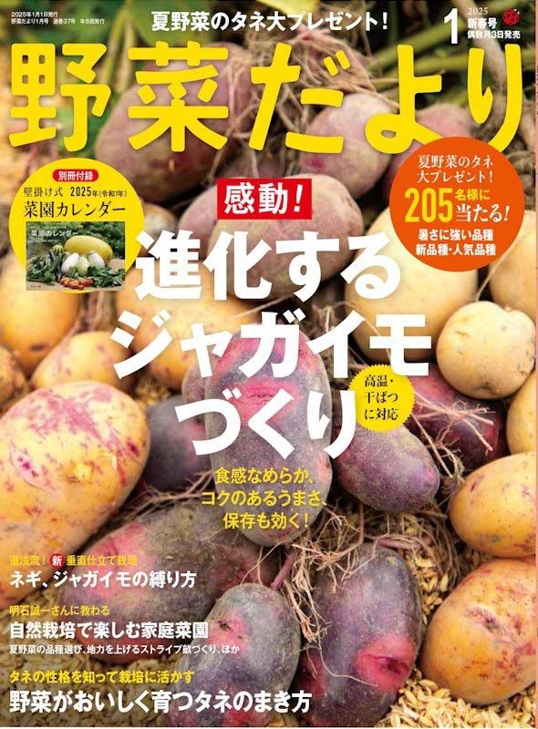 【書籍】野菜だより2025年1月新春号(112501)