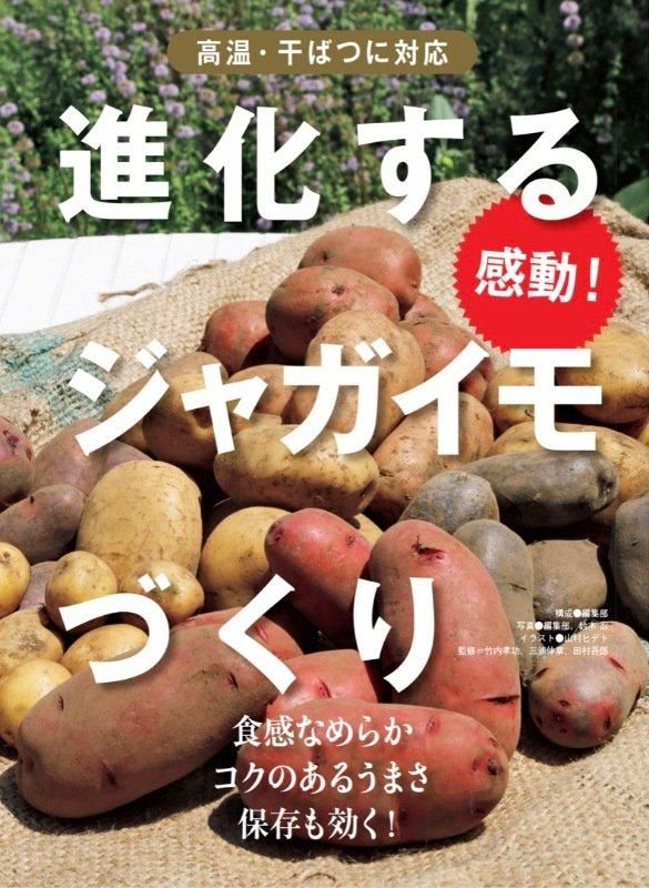 【書籍】野菜だより2025年1月新春号(112501)