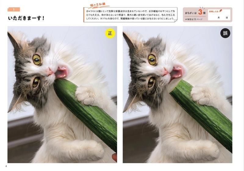 【書籍】にゃんこのまちがい探し ネコねんね&うまそうだニャ(M1829)