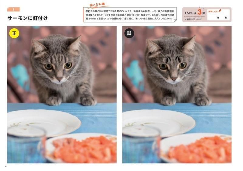 【書籍】にゃんこのまちがい探し ネコねんね&うまそうだニャ(M1829)
