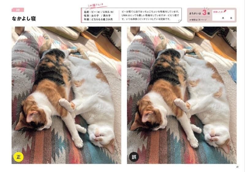 【書籍】にゃんこのまちがい探し ネコねんね&うまそうだニャ(M1829)