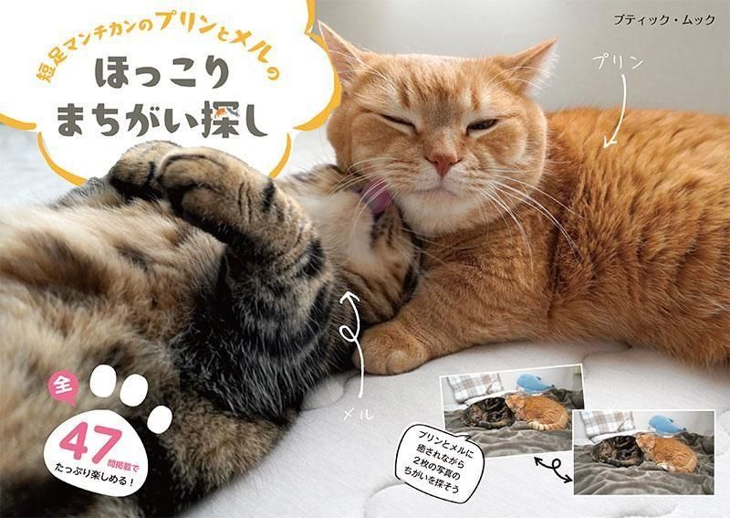 【書籍】短足マンチカンのプリンとメルのほっこりまちがい探し(M1846)