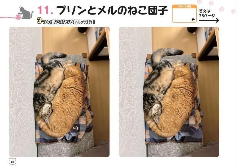 【書籍】短足マンチカンのプリンとメルのほっこりまちがい探し(M1846)