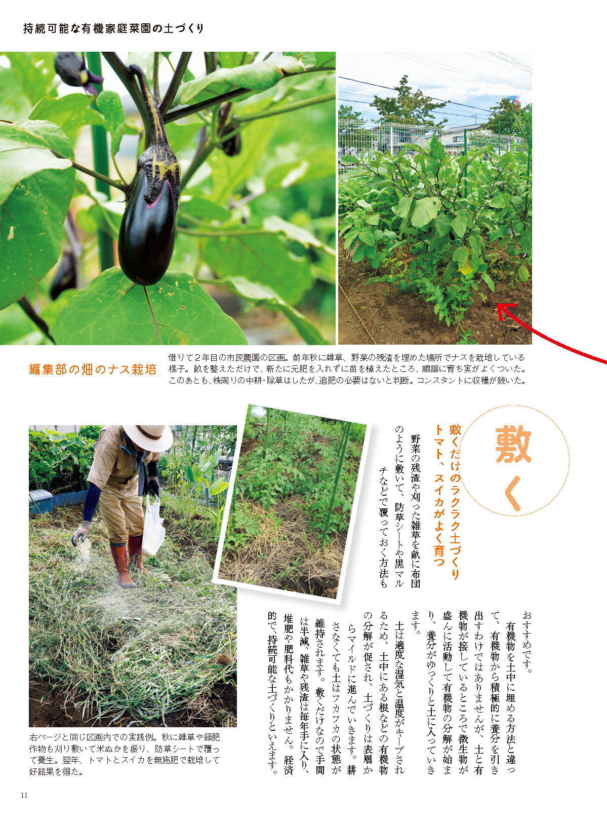 【書籍】野菜だより2022年11月冬号(112211)