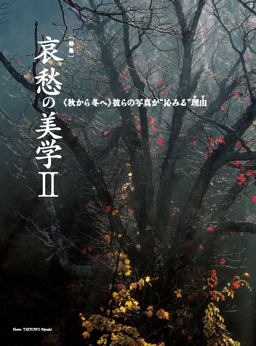 【電子版】風景写真2023年11-12月号(642311)