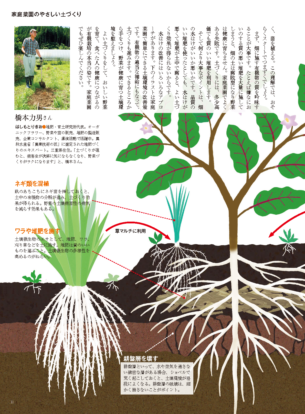 【電子版】野菜だより2023年11月冬号(112311)