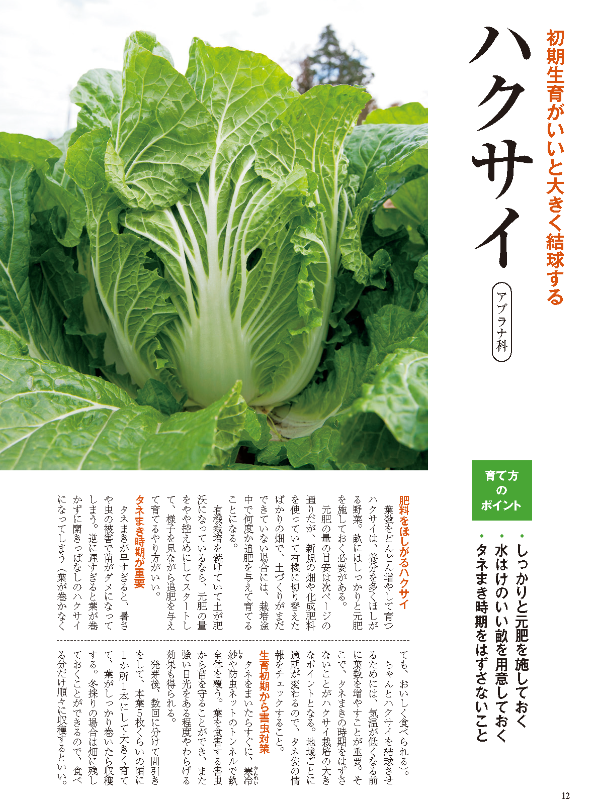 【電子版】秋冬野菜づくり 超基本とコツのコツ 2023年版(122308)
