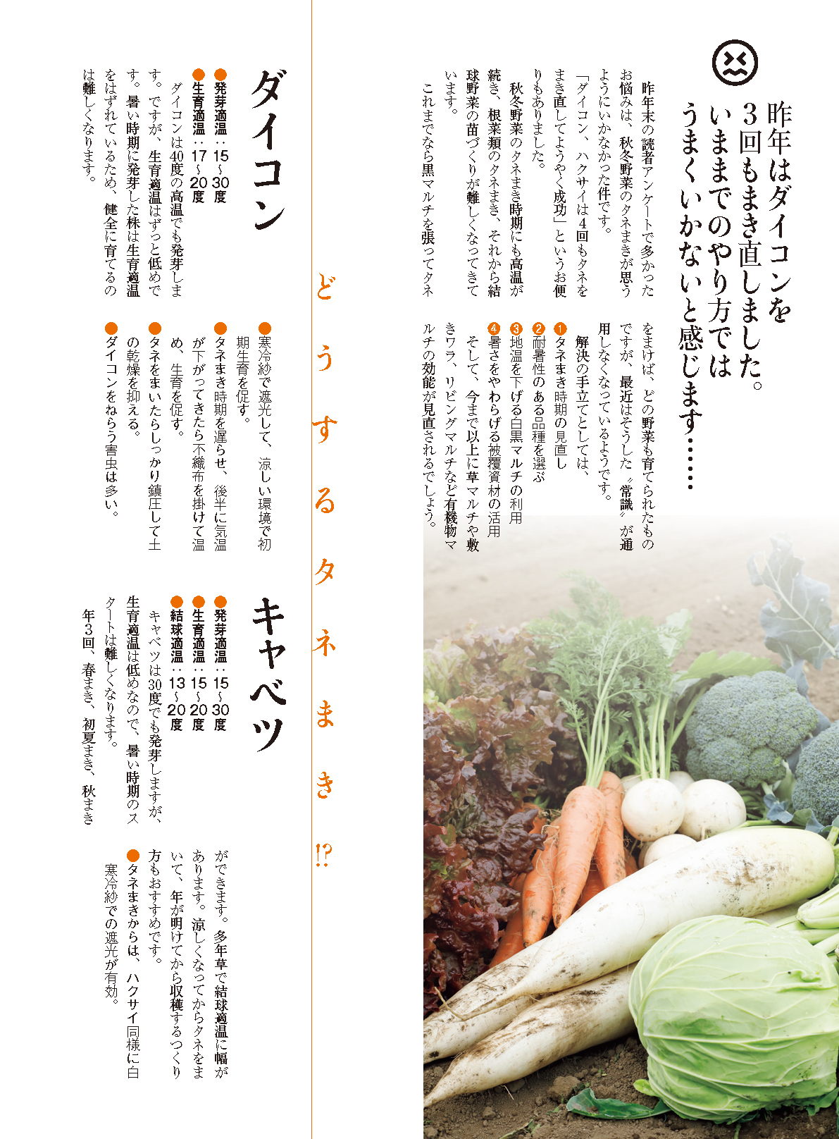 【書籍】野菜だより2024年7月夏号(112407)