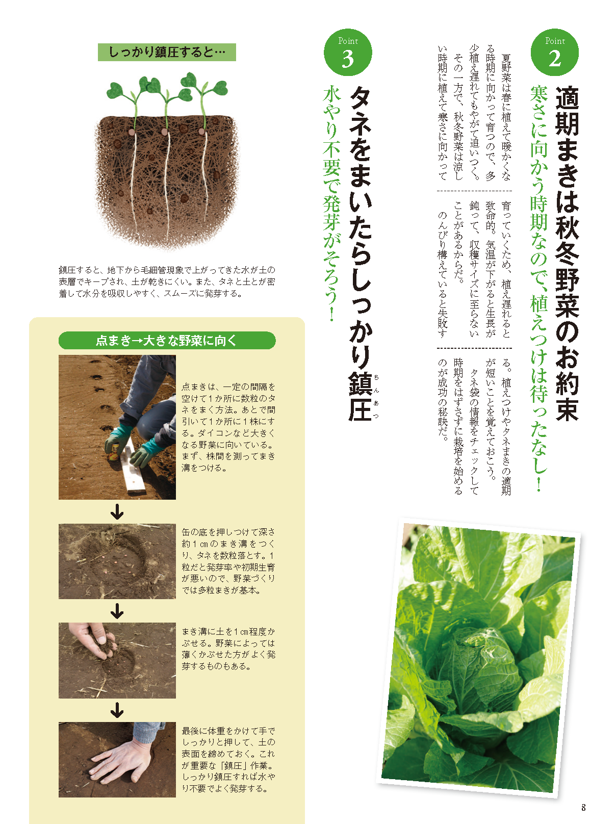 【書籍】秋冬野菜づくり 超基本とコツのコツ 2025年版(野菜だより2025年8月号増刊)(122508)