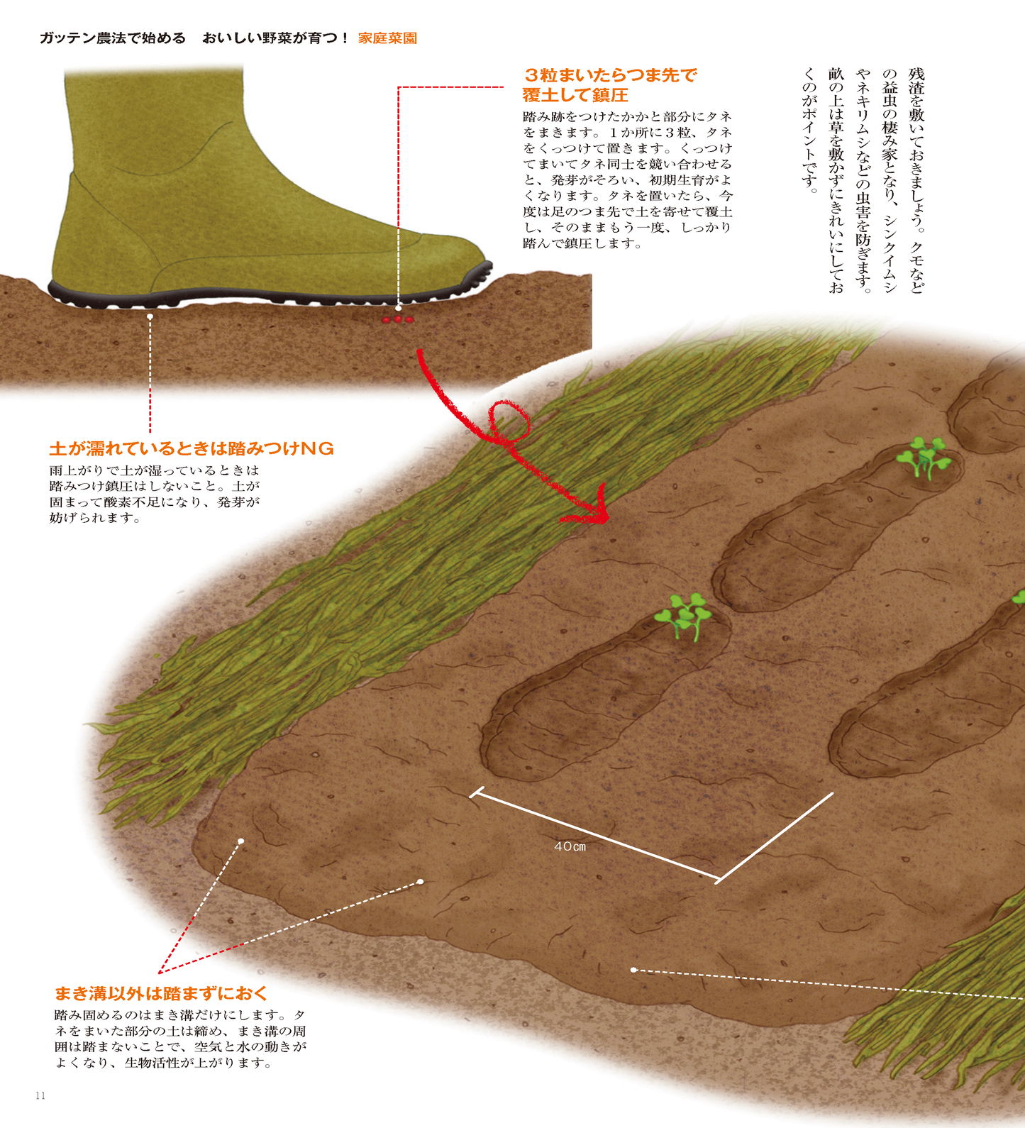 【書籍】野菜だより2025年9月秋号(112509)