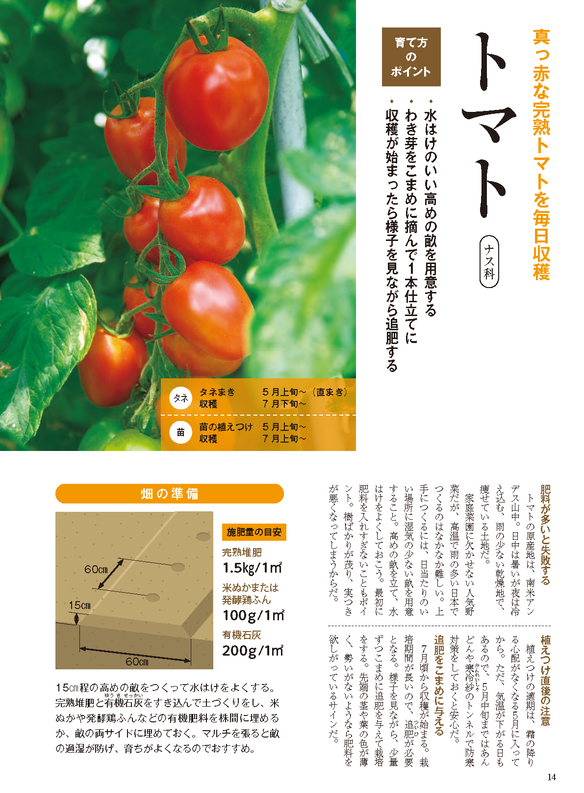 【書籍】夏野菜づくり超基本とコツのコツ2026年版(野菜だより2026年4月号増刊)(122604)