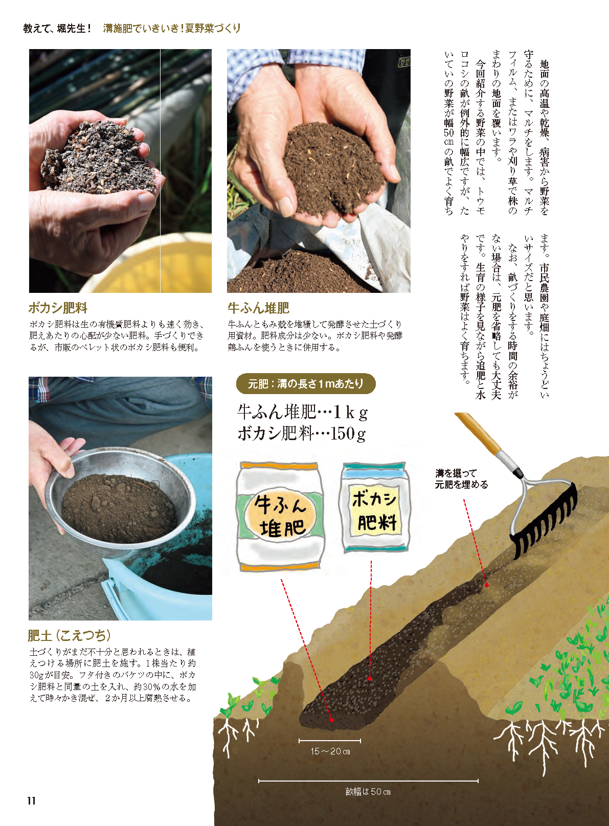【書籍】野菜だより2026年3月春号(112603)