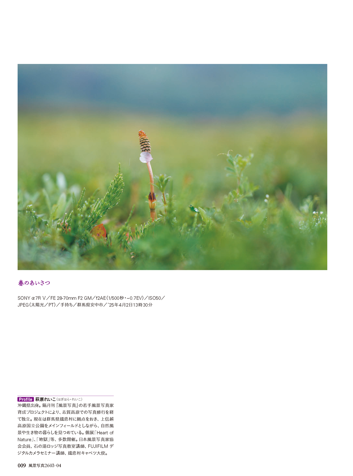 【電子版】風景写真2026年3・4月号(642603)