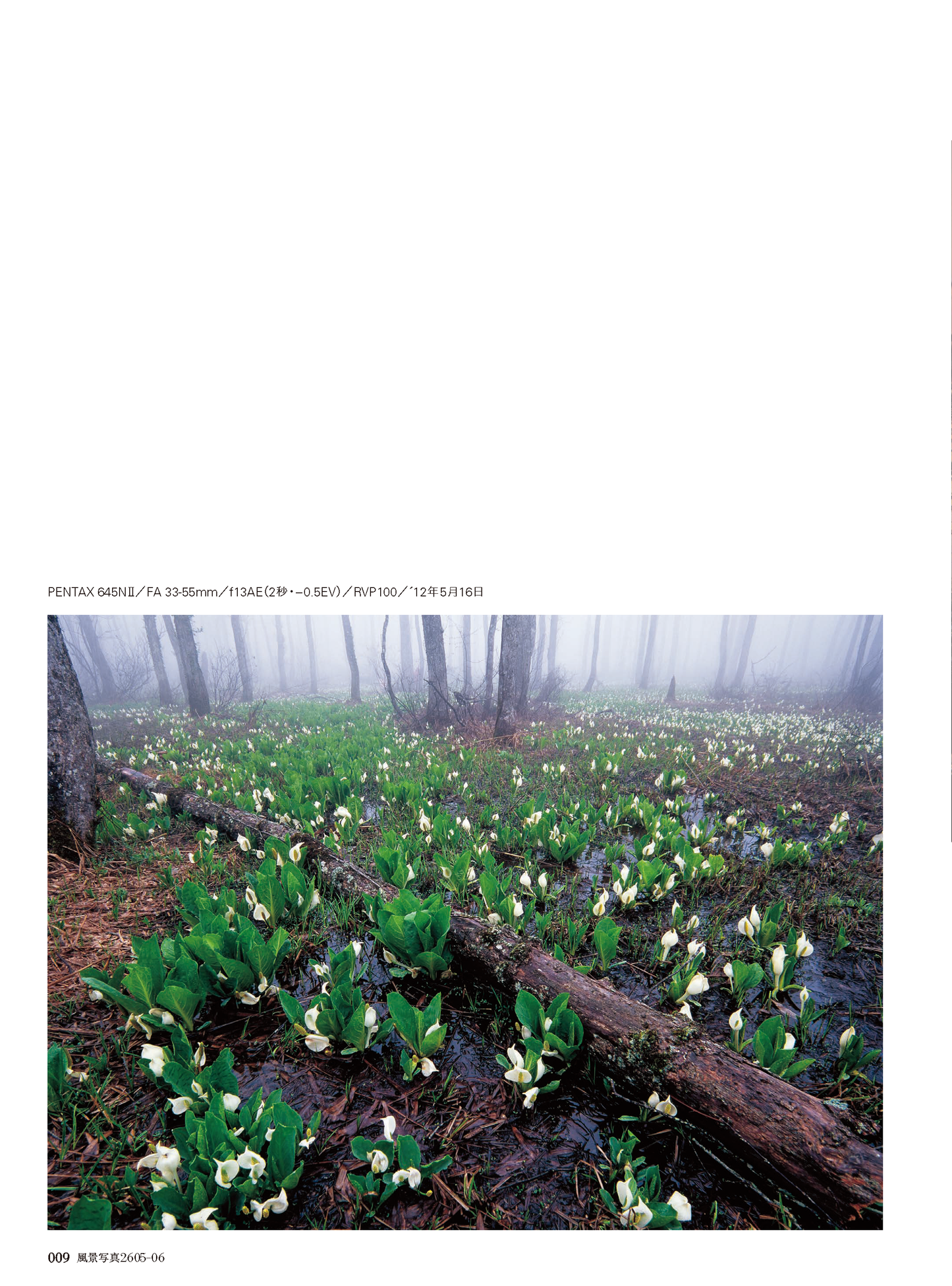 【電子版】風景写真2026年5・6月号(642605)