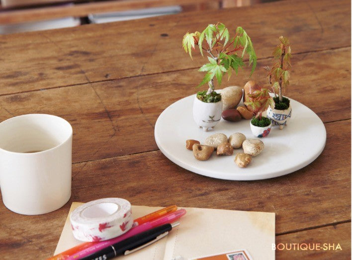 【書籍】つくる・育てる・飾る!超ミニ盆栽 新装版(K16)