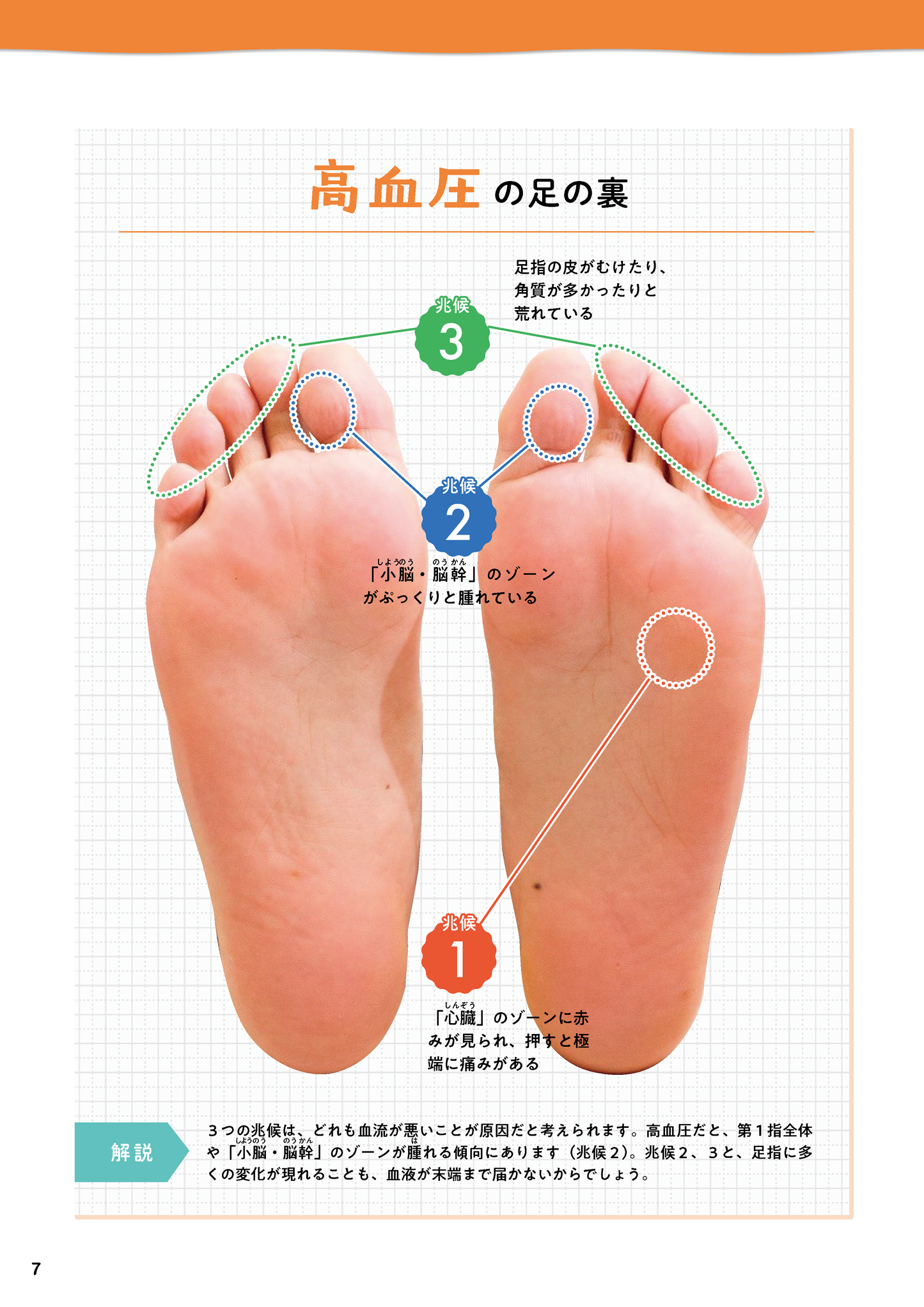 【書籍】足をもむと病気が治る!痛みが消える! 新装版(M1736)