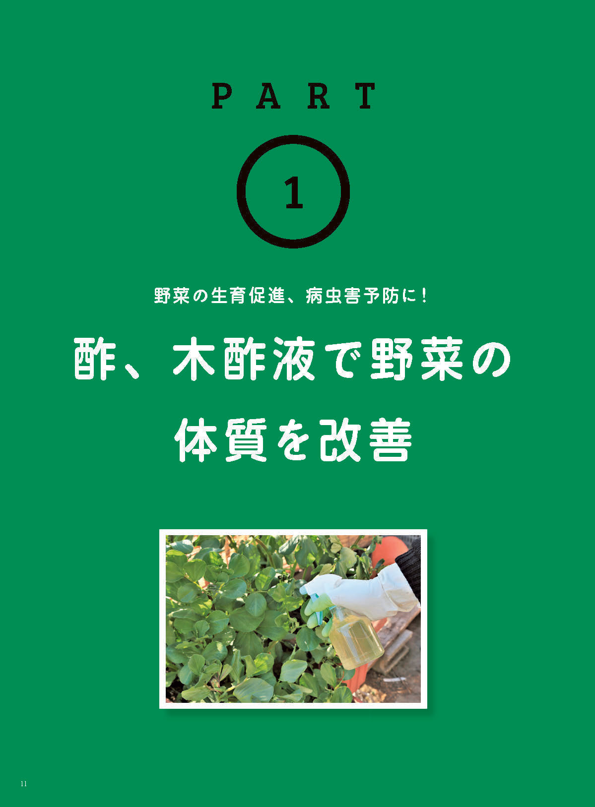 【書籍】家庭菜園の自然農薬 つくり方、使い方、効能がよくわかる!(M1838)