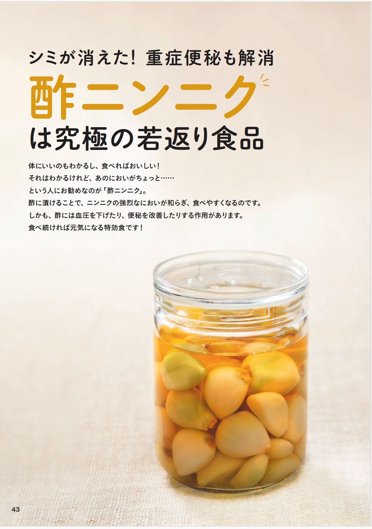 【書籍】元気になる!らくらくやせる!ニンニク活用レシピ(M1853)