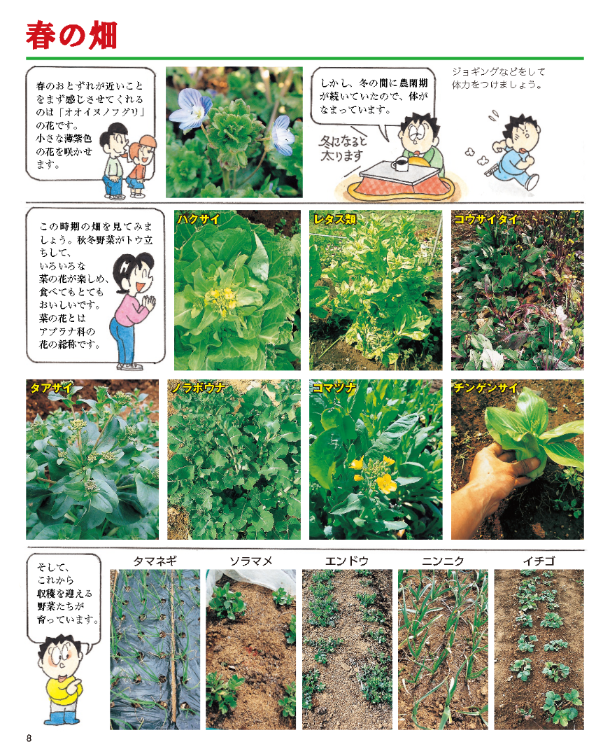 【書籍】増補改訂版 まんがと写真でわかる家庭菜園春夏秋冬(M1950)