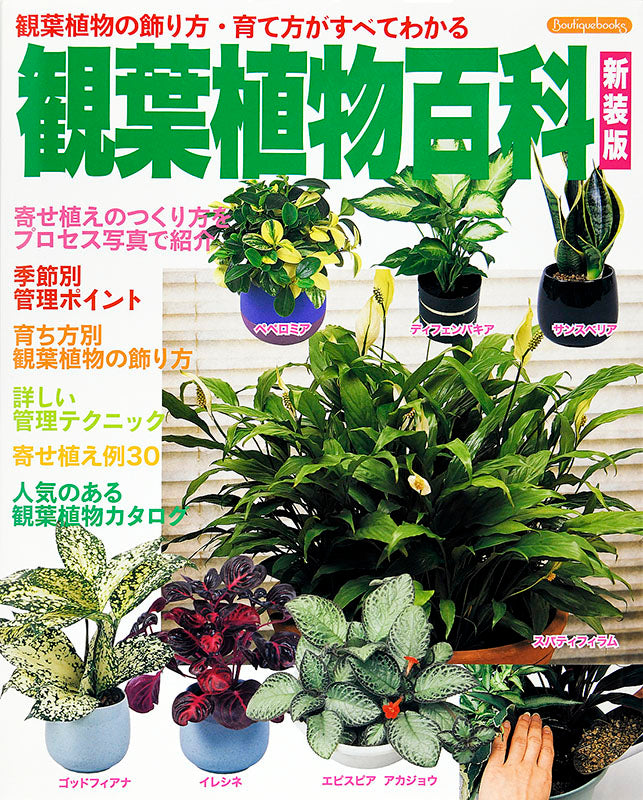 【書籍】観葉植物百科 新装版 (K22)