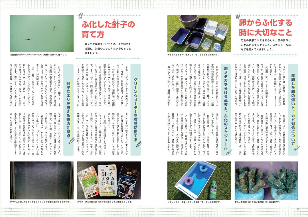 【書籍】メダカFriend Vol.2(M1860)
