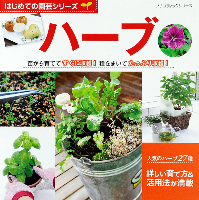 【書籍】はじめての園芸シリーズ ハーブ(PBS635)