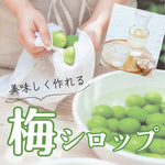 梅シロップの作り方｜失敗しない基本レシピとカビ対策【2026年最新】