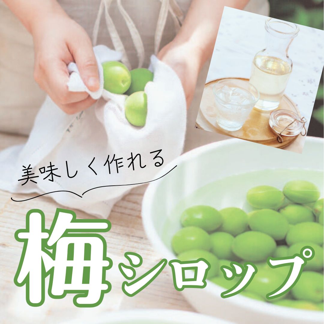 梅シロップの作り方｜失敗しない基本レシピとカビ対策【2026年最新】