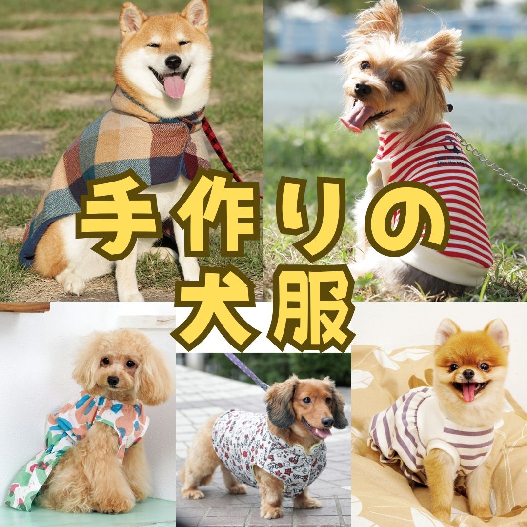 特集 – ブティック社 公式オンラインストア