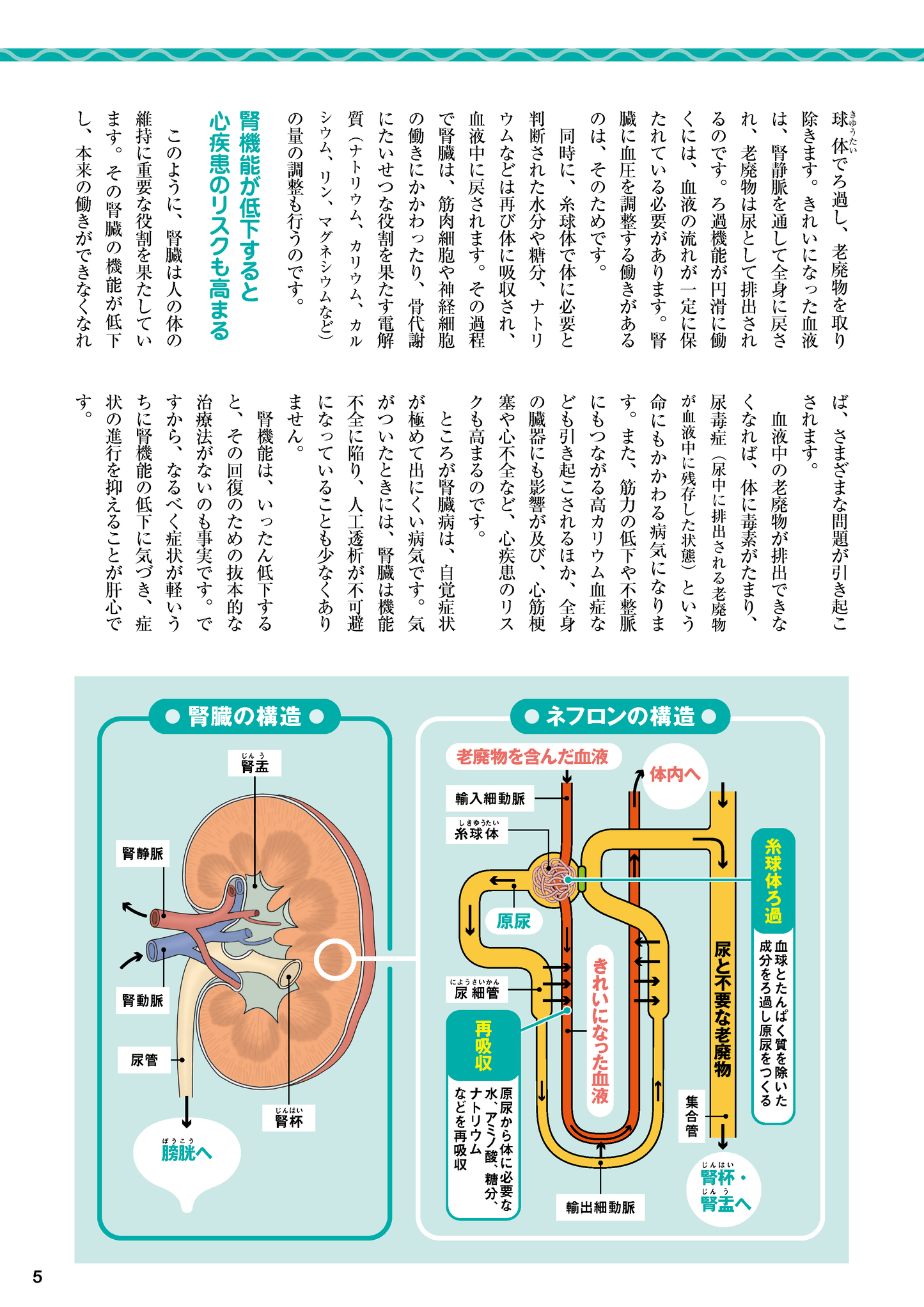 【書籍】腎機能 100年長持ちさせる特効ケア(M1725)