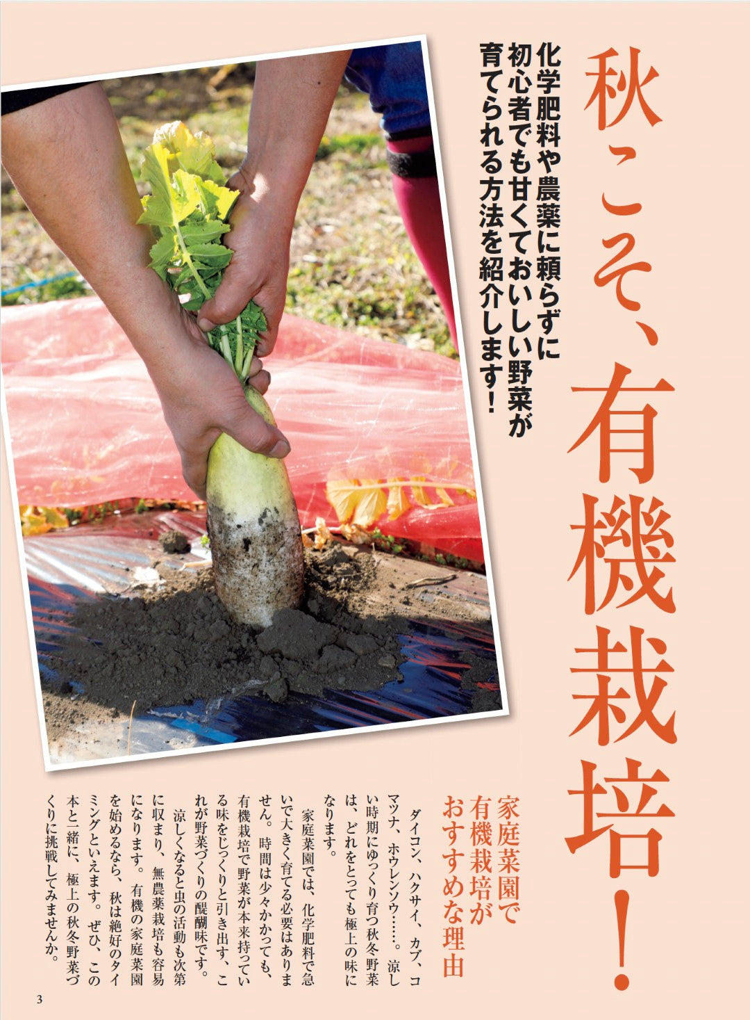 【書籍】秋冬野菜づくり 超基本とコツのコツ 2025年版（野菜だより2025年8月号増刊）(122508)