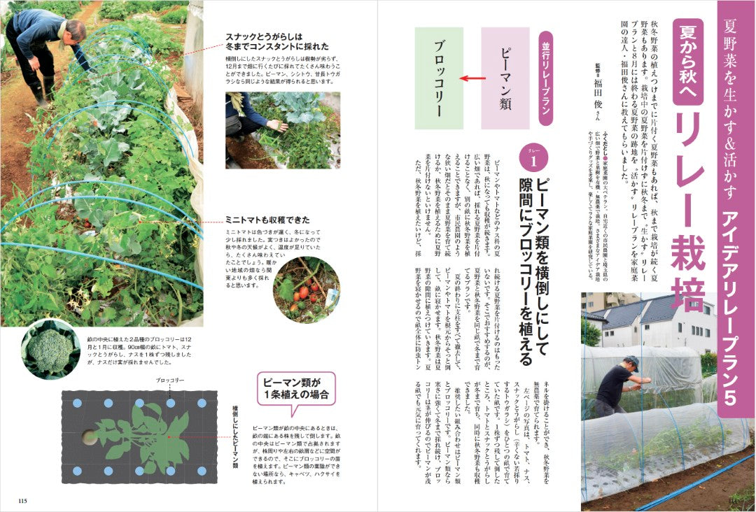 【書籍】秋冬野菜づくり 超基本とコツのコツ 2025年版（野菜だより2025年8月号増刊）(122508)