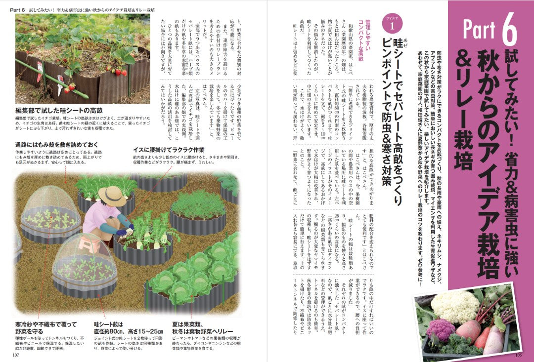 【書籍】秋冬野菜づくり 超基本とコツのコツ 2025年版（野菜だより2025年8月号増刊）(122508)